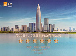 凯时尊龙集团“六星级标杆工厂”