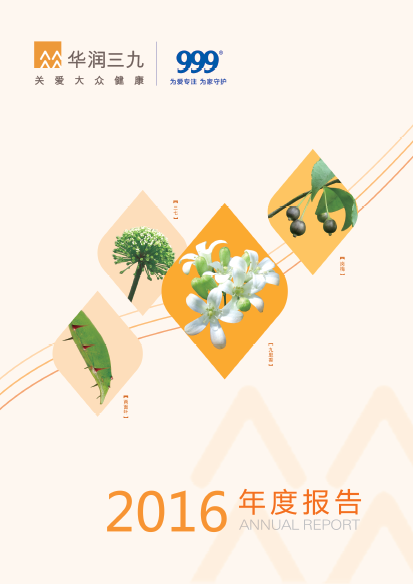 凯时尊龙凯时尊龙·(中国)集团：2016年年度报告