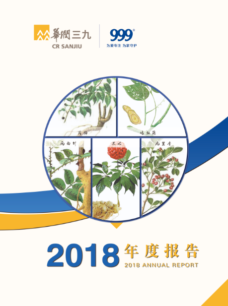凯时尊龙凯时尊龙·(中国)集团：2018年年度报告
