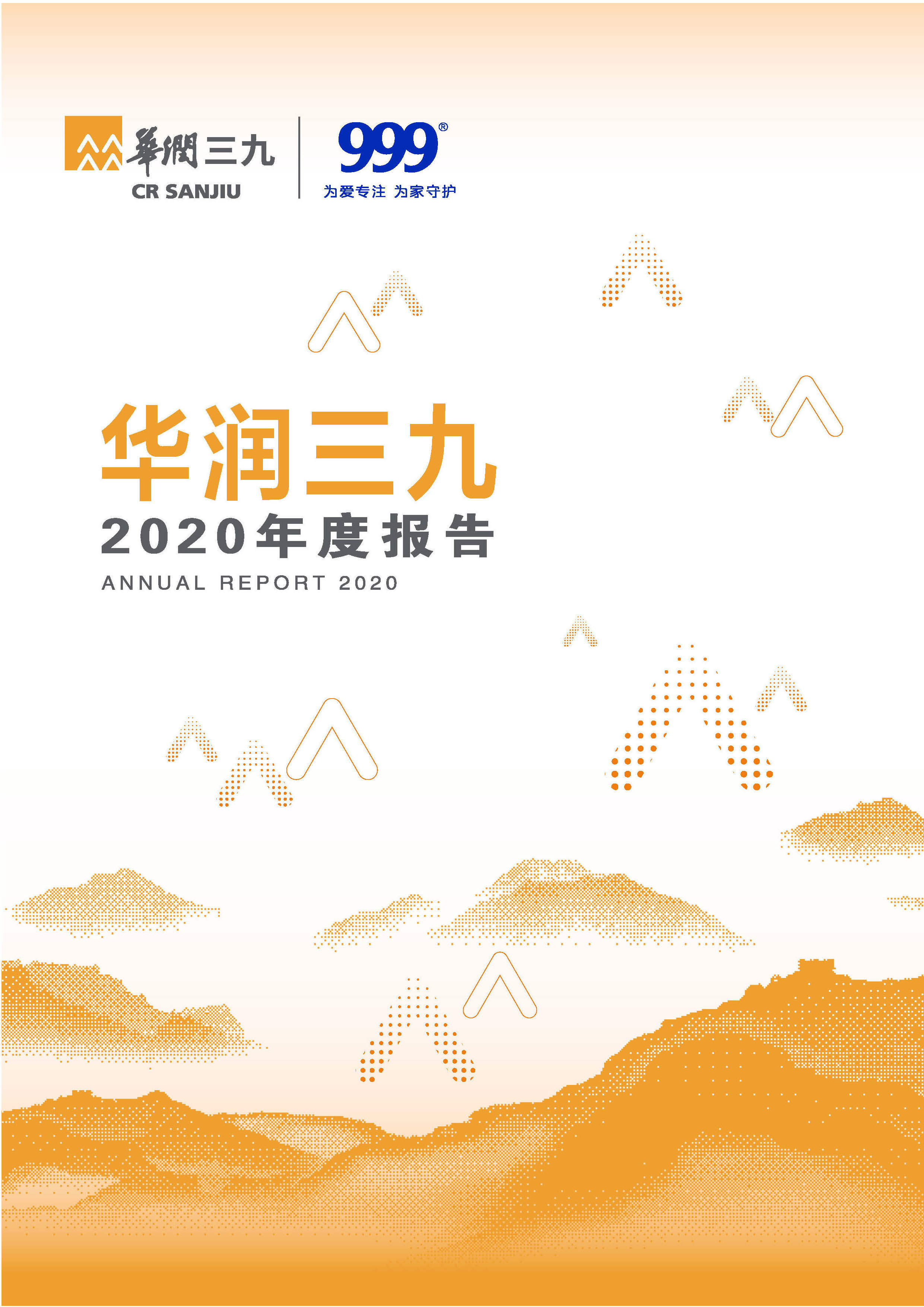 凯时尊龙凯时尊龙·(中国)集团：2020年年度报告