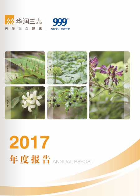 凯时尊龙凯时尊龙·(中国)集团：2017年年度报告